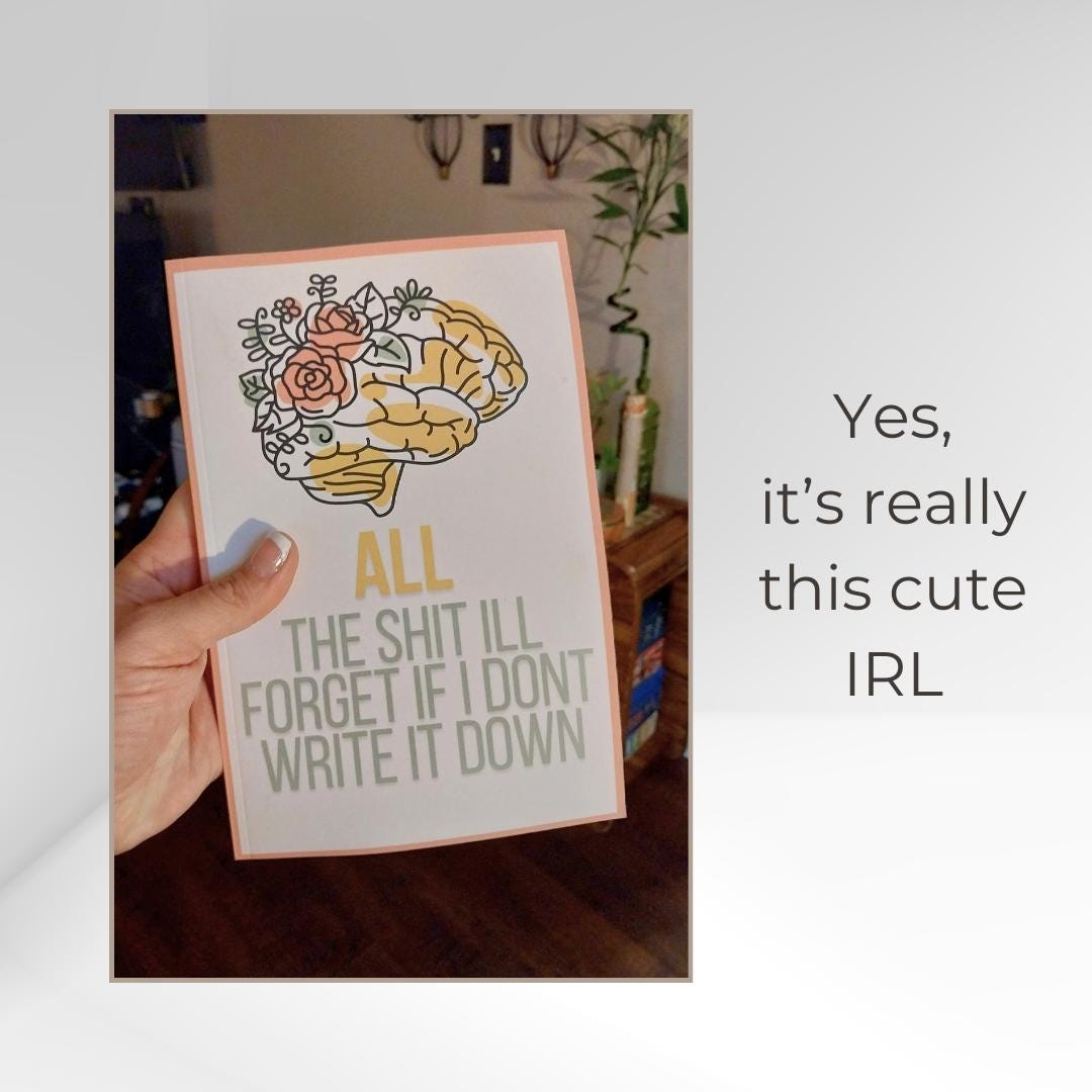 Funny Brain Notebook: Sarcastic Journal for Forgetful People